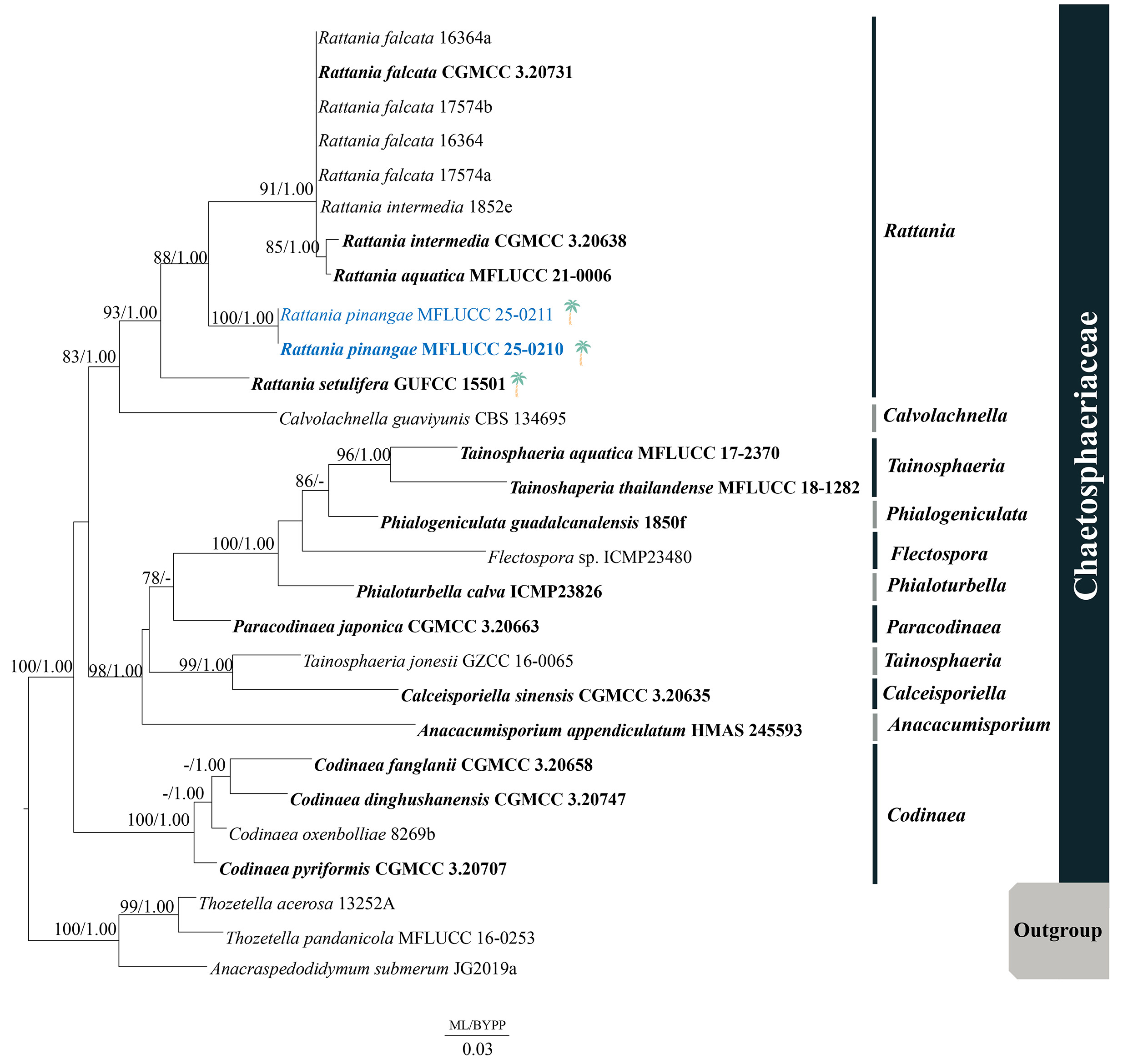 Figure 71